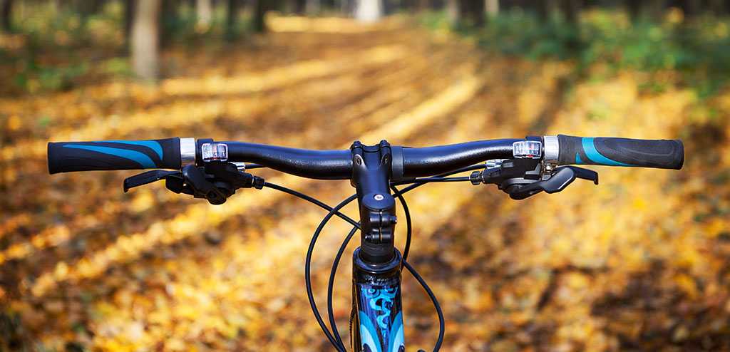 Prøv gode mtb-spor i området
