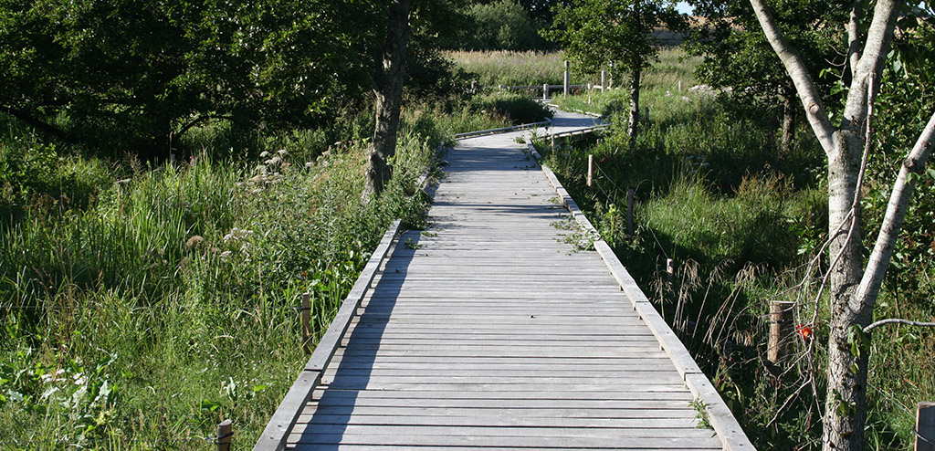 steder med handicapvenlig adgang