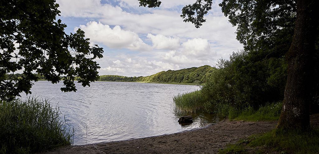 Jels Midtsø med strandkant