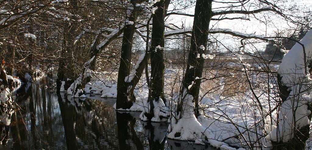 Vinter ved Heksebroen, Jels Nedersø